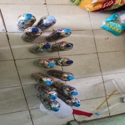 P5 Tema GHB in SMAN 4 BANJARMASIN has sequestered 15 kg of plastic using 30 ecobricks