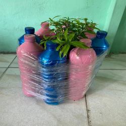 ecobrick in SMA Negeri 4 Banjarmasin, Gang Sosial, Telawang, Banjarmasin Barat, Banjarmasin, Kalimantan Selatan, Kalimantan, 70113, Indonesia has sequestered 4 kg of plastic using 8 ecobricks